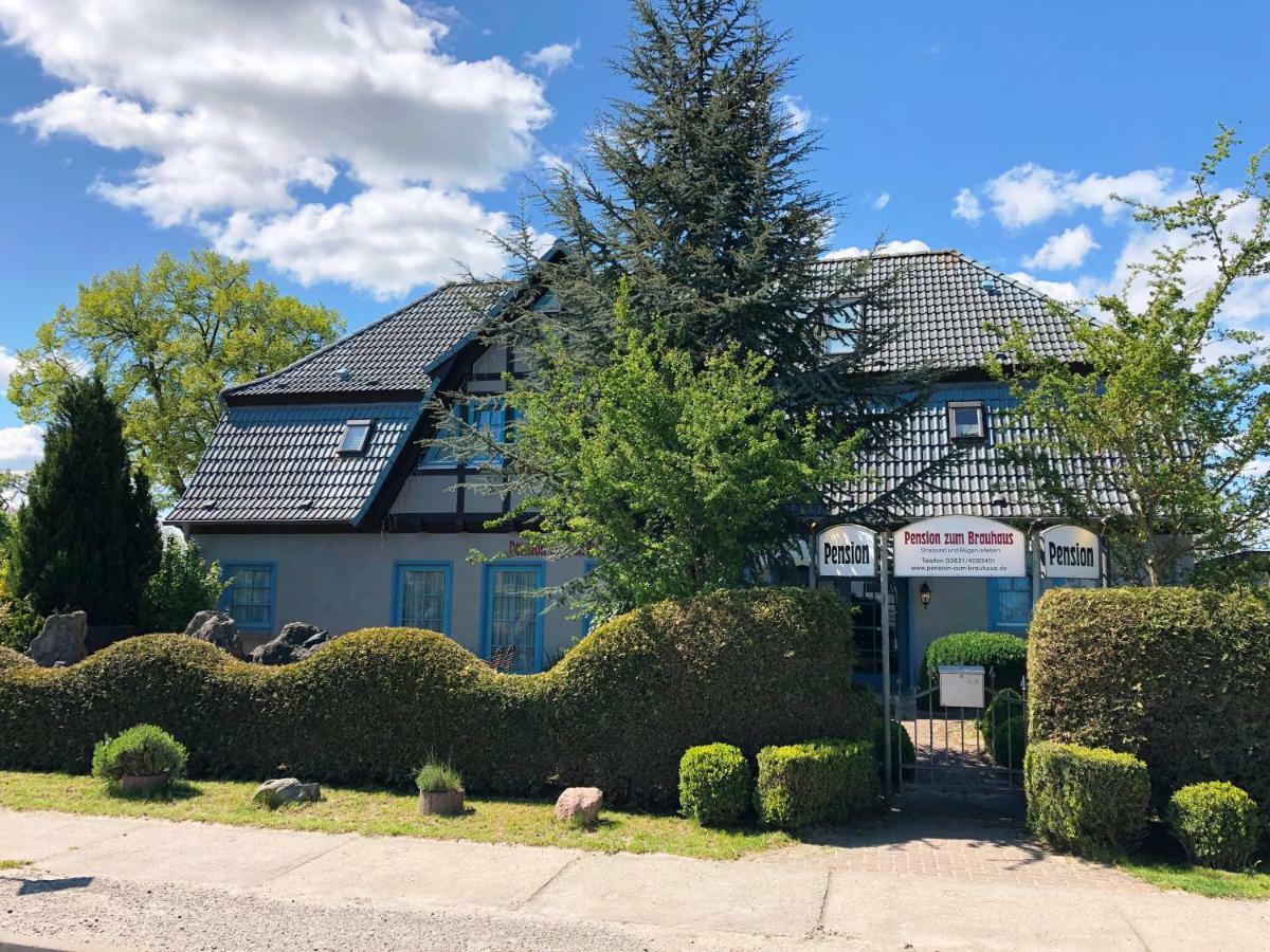Pension Zum Brauhaus Stralsund Exterior photo